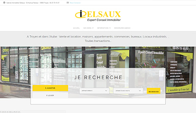 immo-delsaux.com